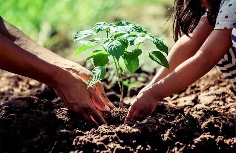 官方资讯 - FIFA世界杯